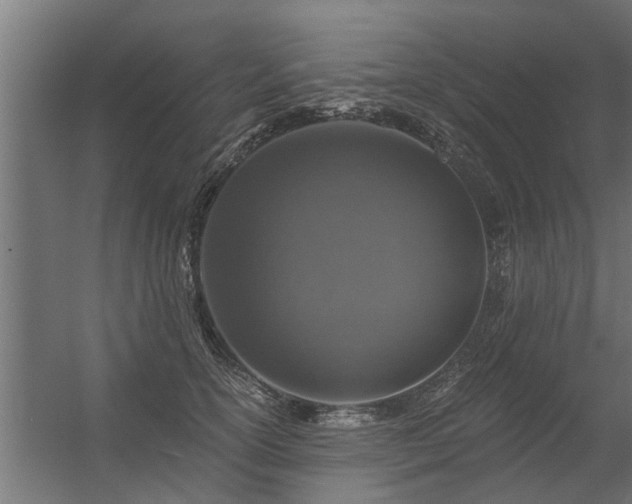 X0000056360754200509021748