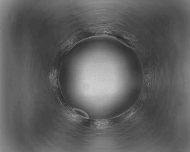 X0000056360767200509021748