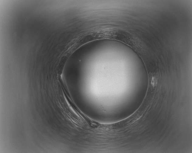 X0000056360771200509021747