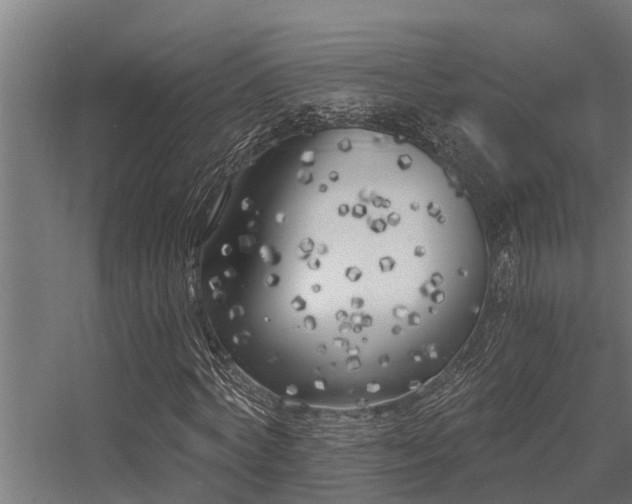 X0000056360772200509021747