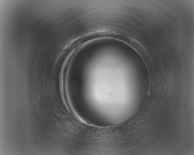 X0000056360776200509021747