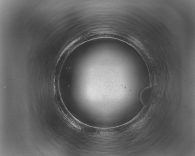 X0000056360782200509021747