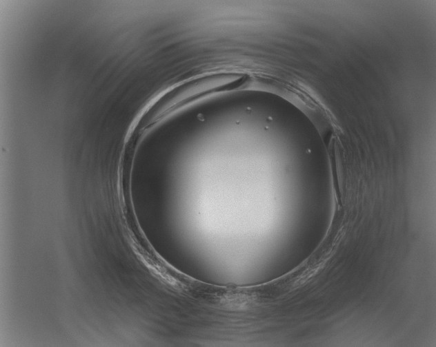 X0000056360788200509021747