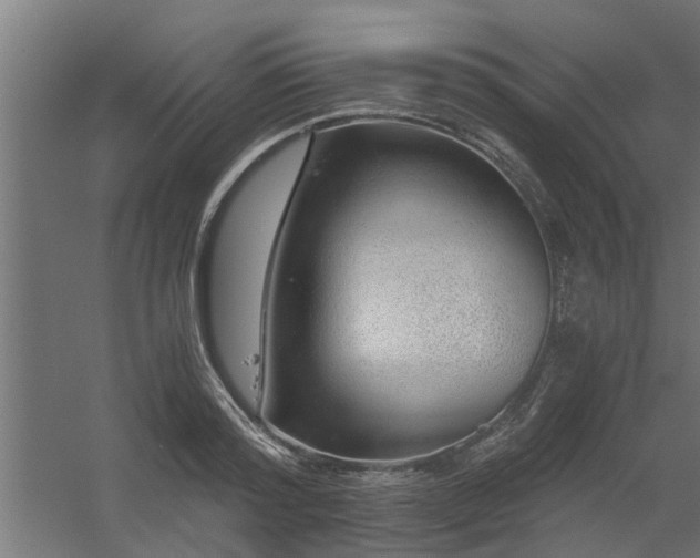 X0000056360796200509021747