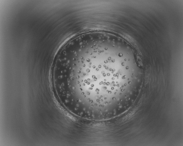 X0000056360798200509021746