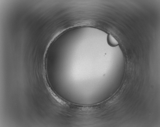 X0000056360800200509021746