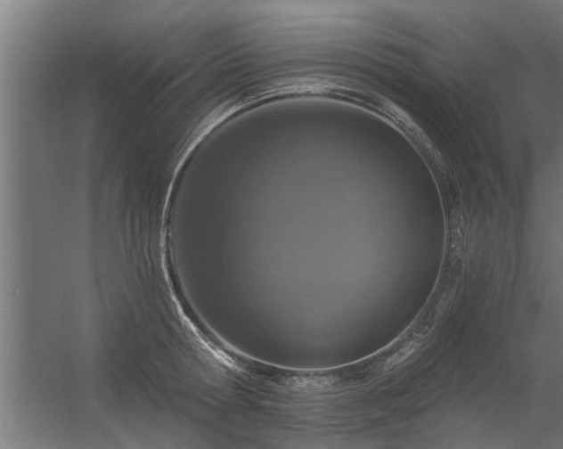 X0000056360802200509021746