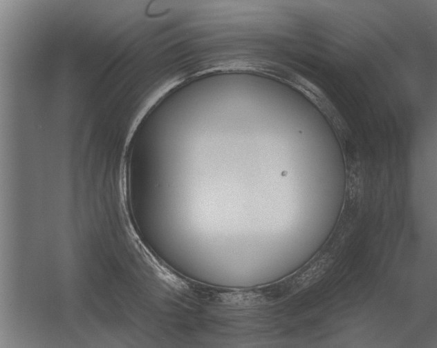 X0000056360804200509021746