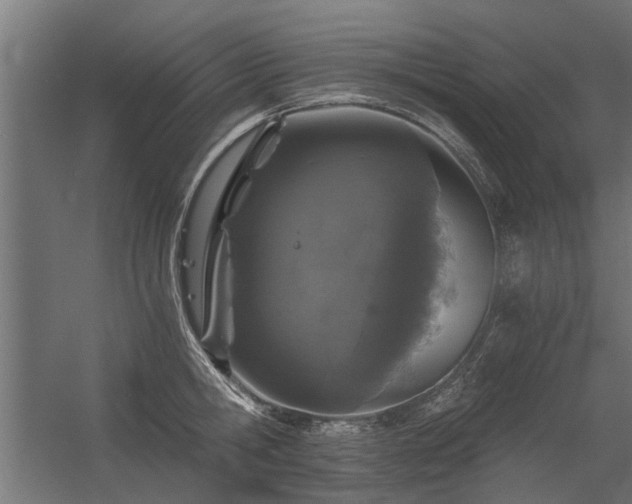 X0000056360806200509021746