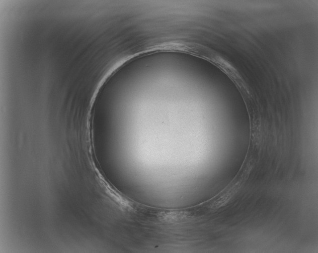 X0000056360808200509021746