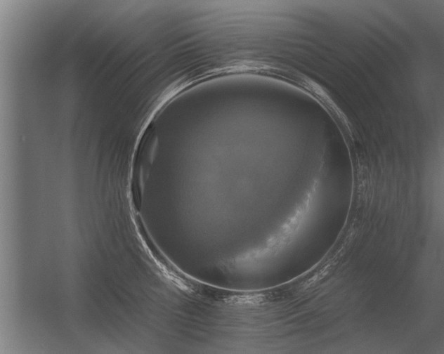 X0000056360810200509021746