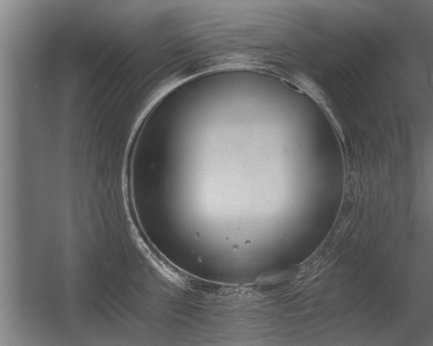 X0000056360811200509021746