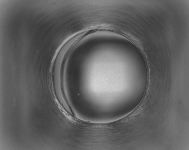 X0000056360816200509021746