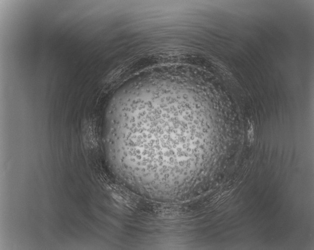 X0000056360819200509021745