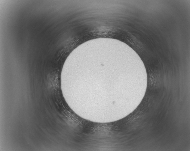 X0000056360820200509021745