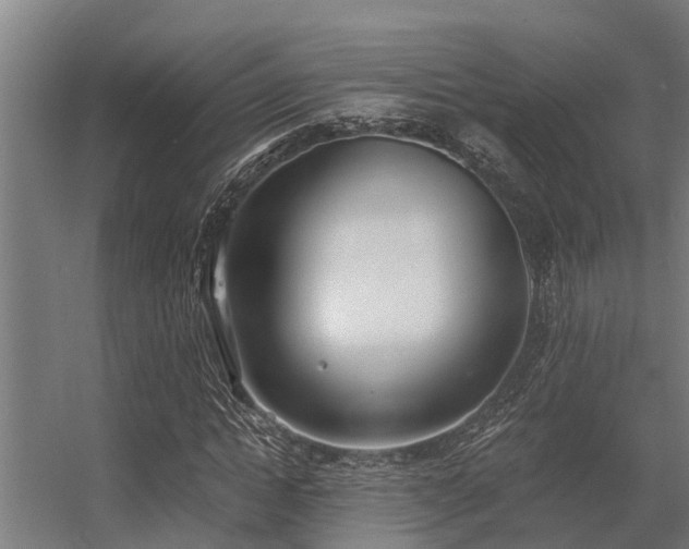 X0000056360822200509021745