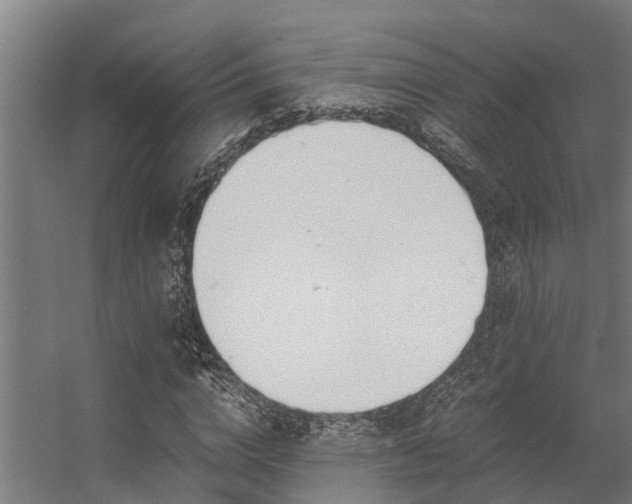 X0000056360824200509021745