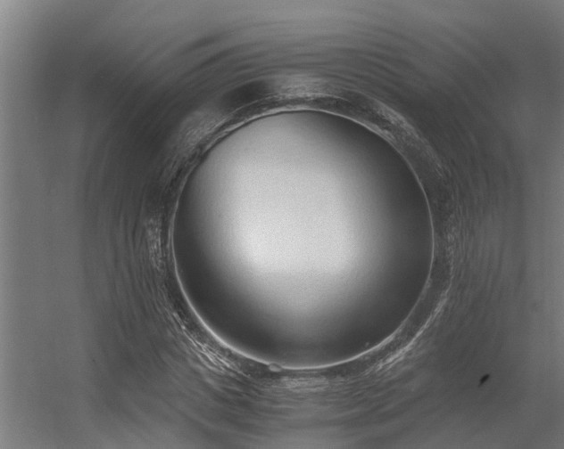 X0000056360825200509021746