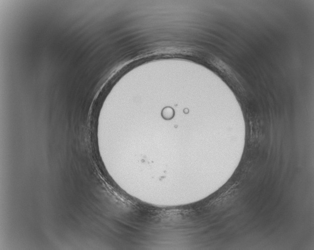 X0000056360828200509021746