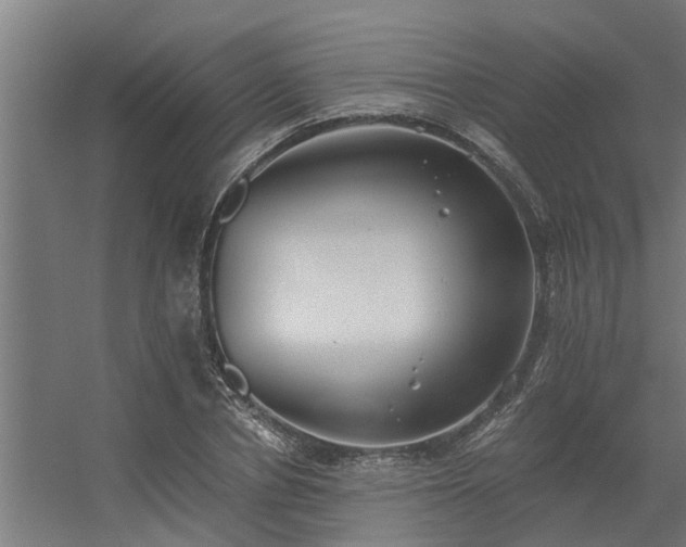 X0000056360834200509021746