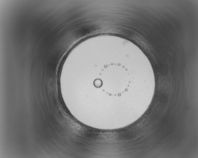 X0000056360836200509021746