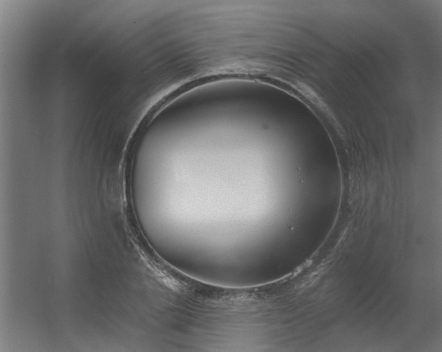 X0000056360838200509021746