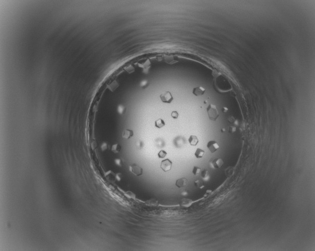 X0000056360839200509021746