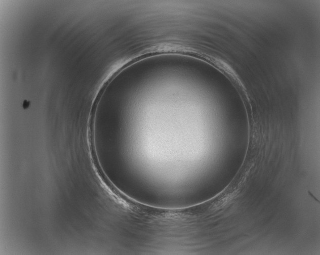 X0000056360847200509021746