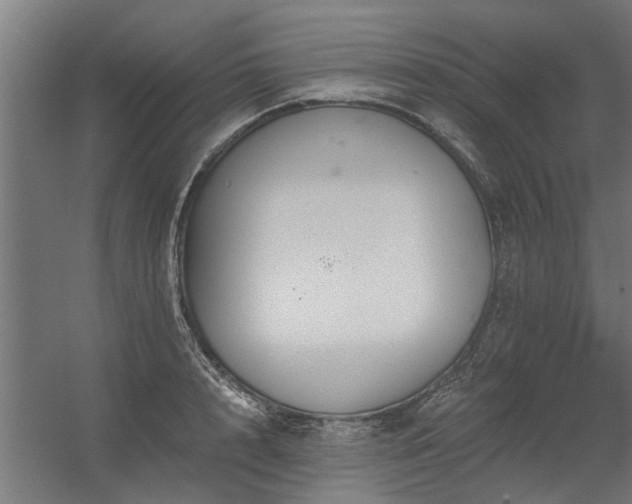 X0000056360848200509021746