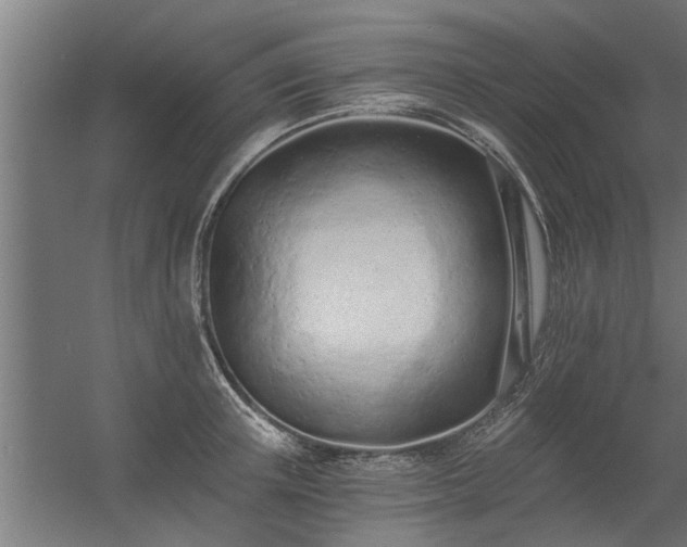 X0000056360851200509021746