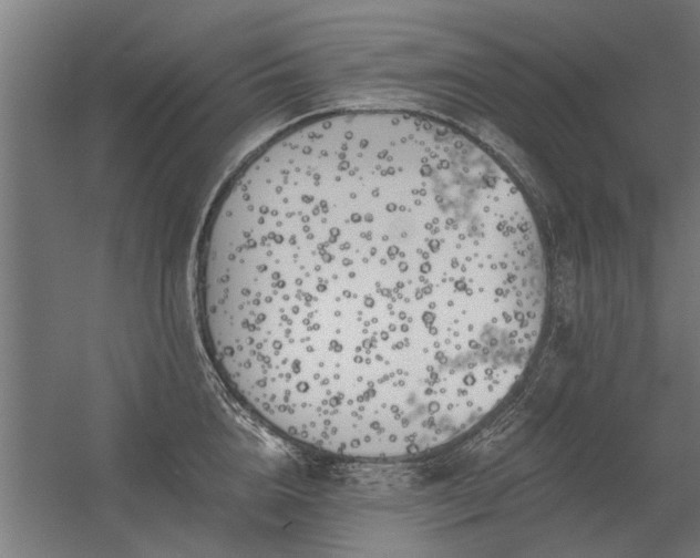 X0000056360856200509021746