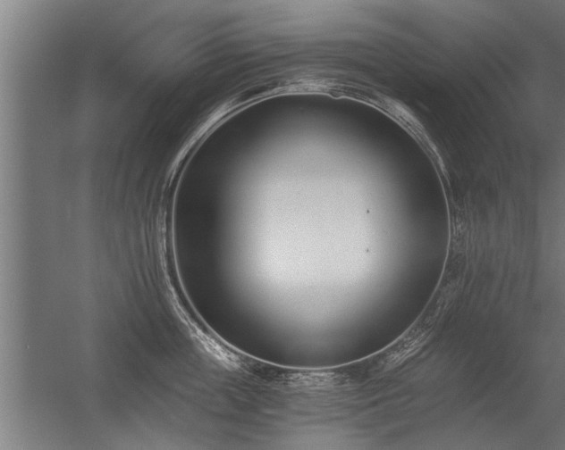 X0000056360859200509021746