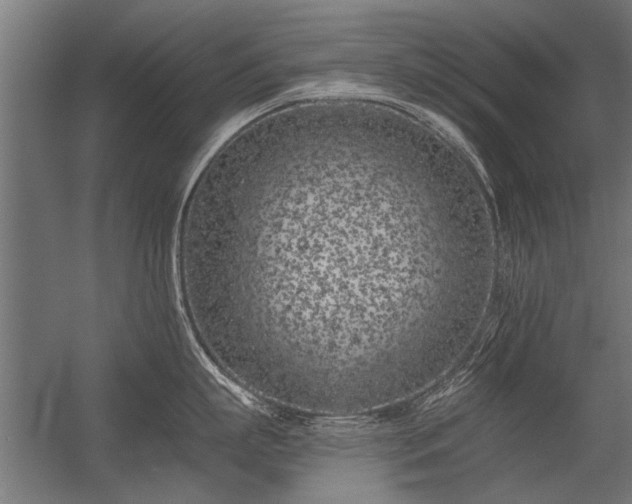 X0000056360863200509021746