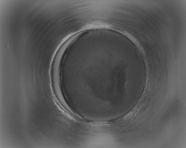 X0000056360864200509021746