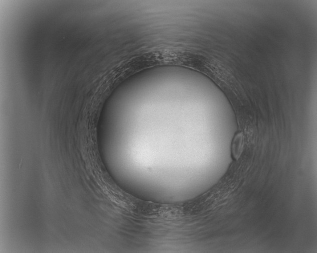 X0000056360865200509021745