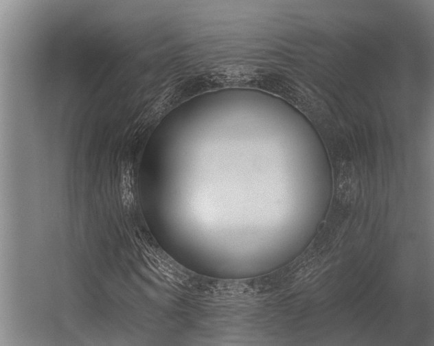 X0000056360866200509021745