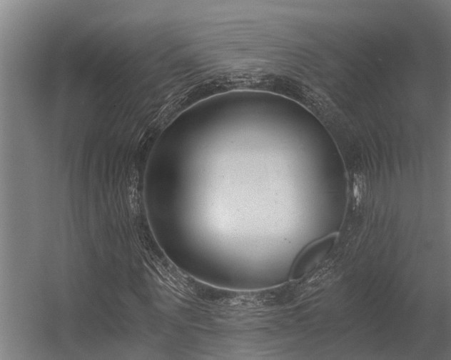 X0000056360867200509021745