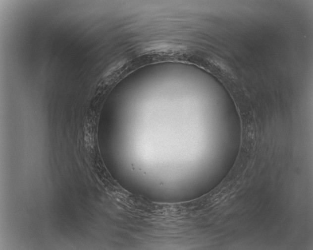 X0000056360869200509021745