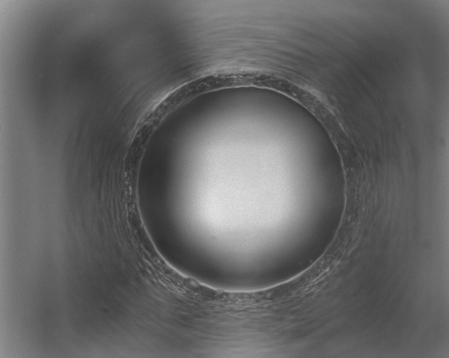 X0000056360871200509021745