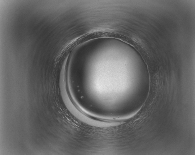 X0000056360872200509021745