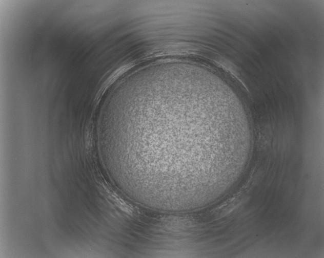 X0000056360874200509021745