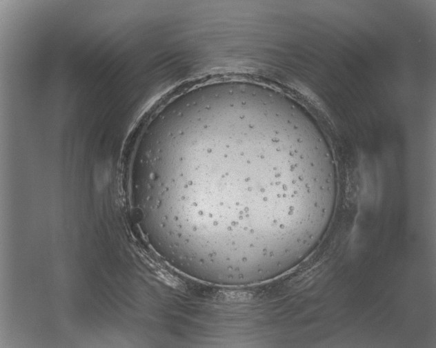 X0000056360878200509021745