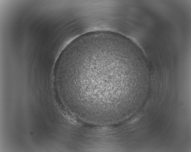 X0000056360879200509021745