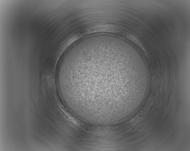 X0000056360882200509021745