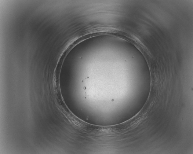 X0000056360883200509021745