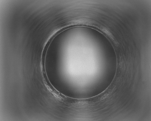 X0000056360888200509021745