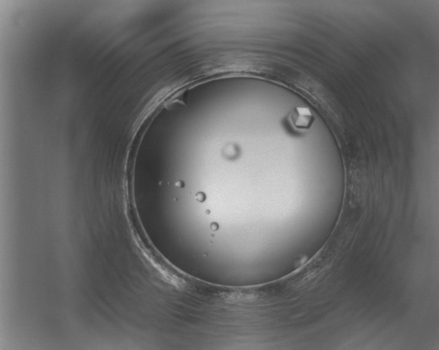 X0000056360890200509021745