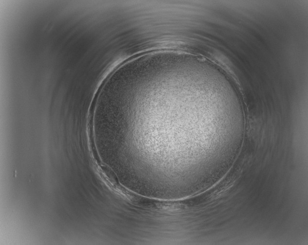 X0000056360899200509021745