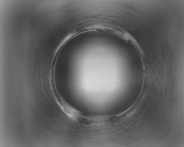 X0000056360909200509021745