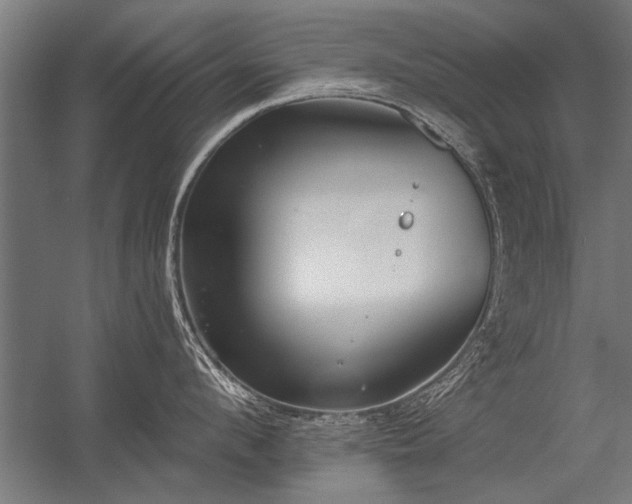 X0000056360912200509021745